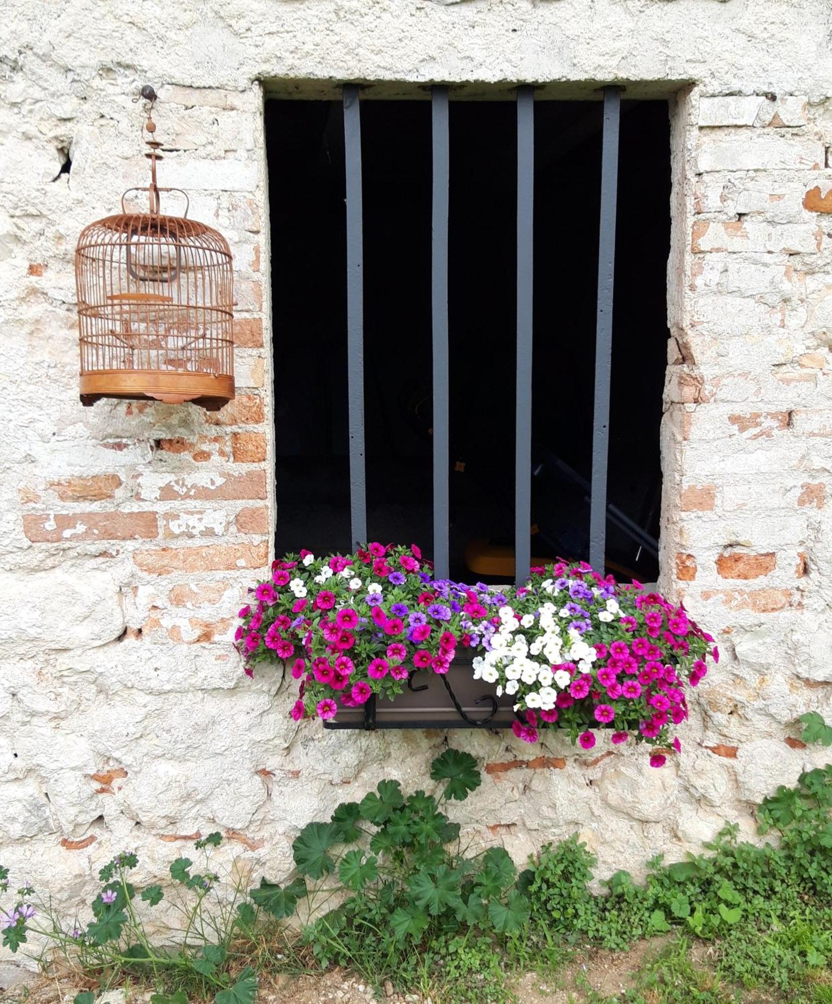 Casa Paola Διαμέρισμα Borso del Grappa Εξωτερικό φωτογραφία