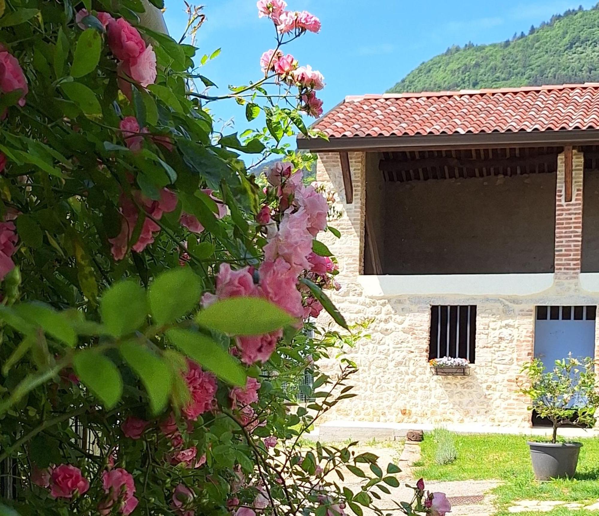 Casa Paola Διαμέρισμα Borso del Grappa Εξωτερικό φωτογραφία